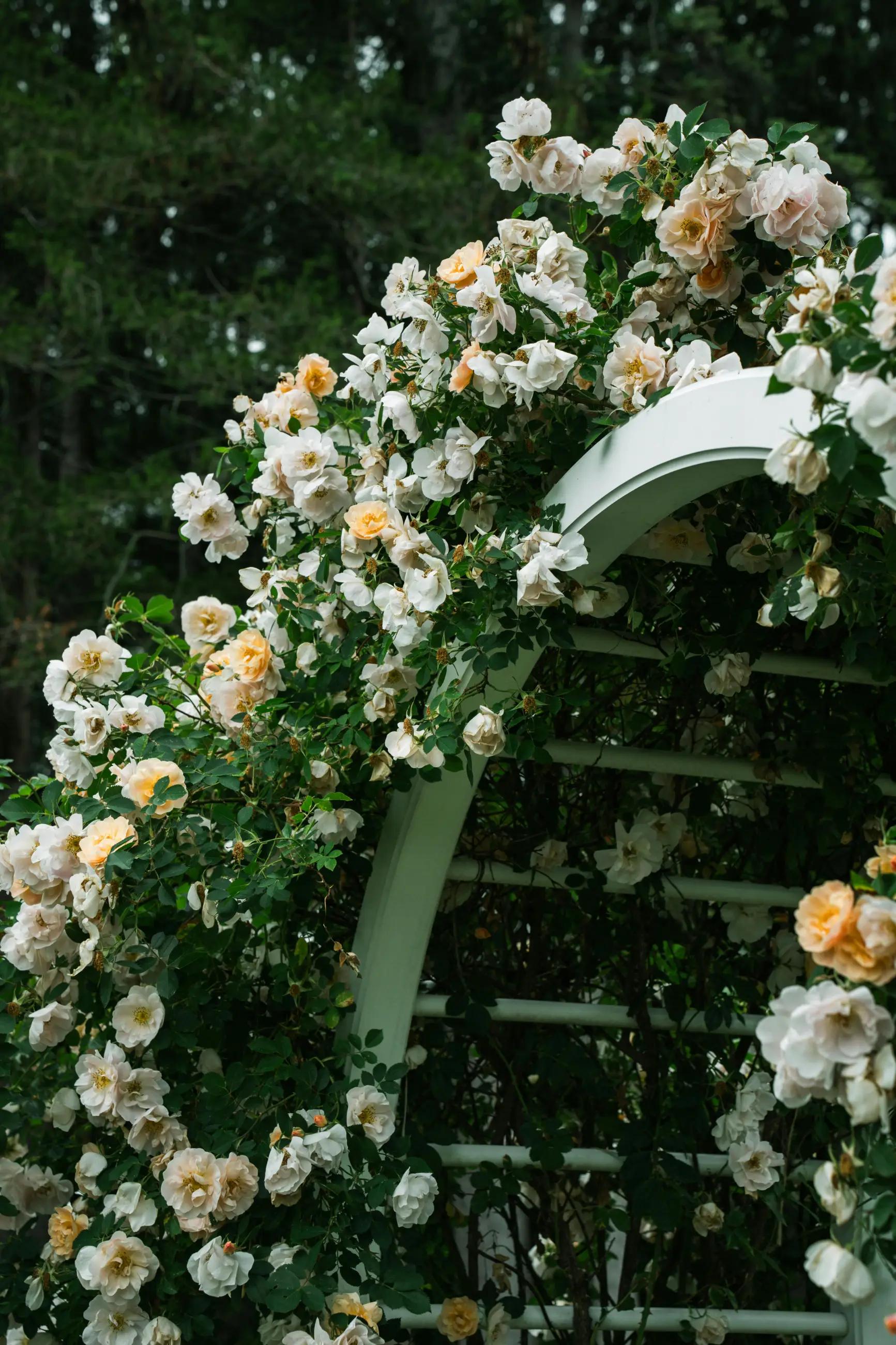 Love Blossoms: Floral Inspiration for Your Wedding Décor!. Desktop Image